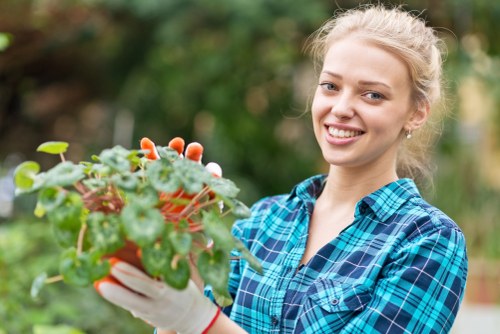 Professional shed installation in an Alperton garden