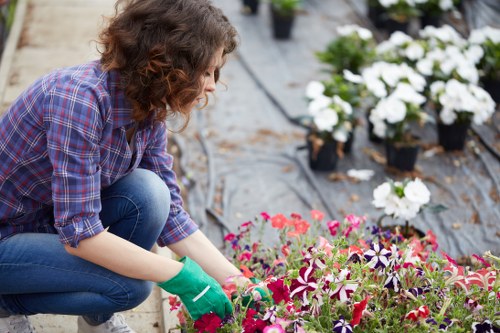 Insured rubbish company providing safe outdoor clearance