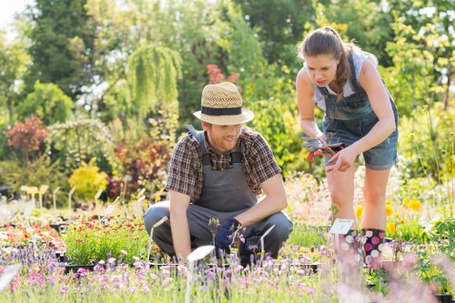 Professional fence maintenance and restoration in Alperton