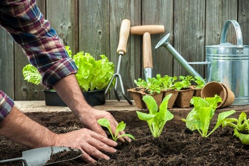 Accessible landscaping website interface for Landscapers Alperton