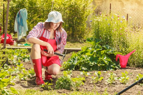Professional landscapers shaping an outdoor space in Alperton