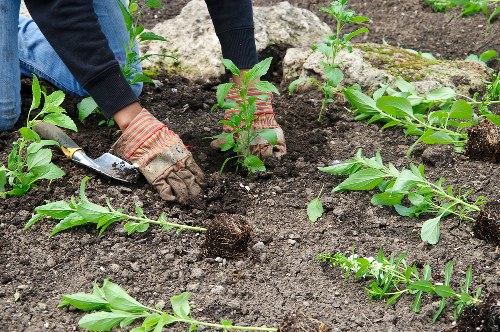 Free quote policy for landscaping and rubbish removal in Alperton