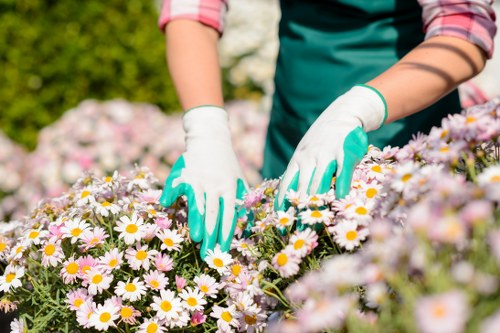 Safe and flexible Landscapers Alperton payment options
