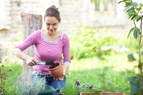 Moss and patchy lawn problems commonly seen in Alperton gardens