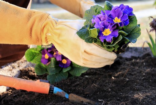 Colourful plant selection for flower bed creation in Alperton garden design