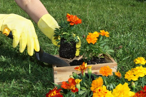 Regular grass cutting schedule for Alperton homes