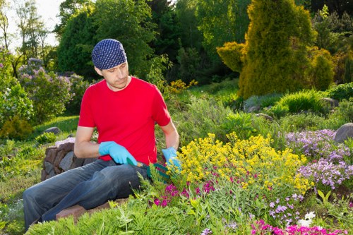 Weather-related decking damage and repair needs in Alperton garden decking