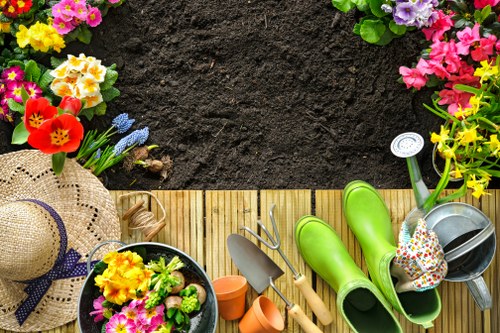 Seasonal lawn care in Alperton with grass maintenance and fertilising