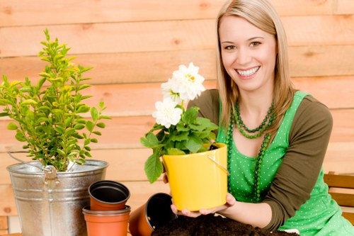 Choice of paving, timber, and plants for landscaping in Alperton