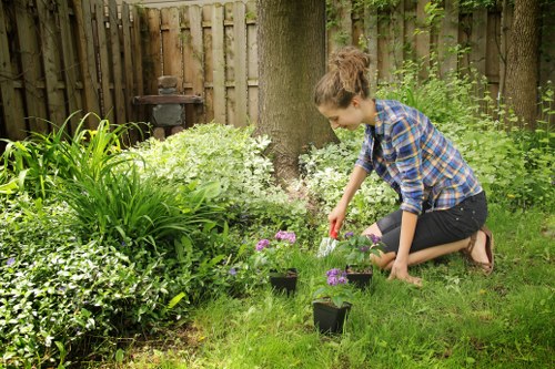 Garden beds and shrubs installed by planting specialists in Alperton