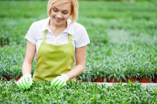 Ongoing accessibility review for an Alperton landscaping website
